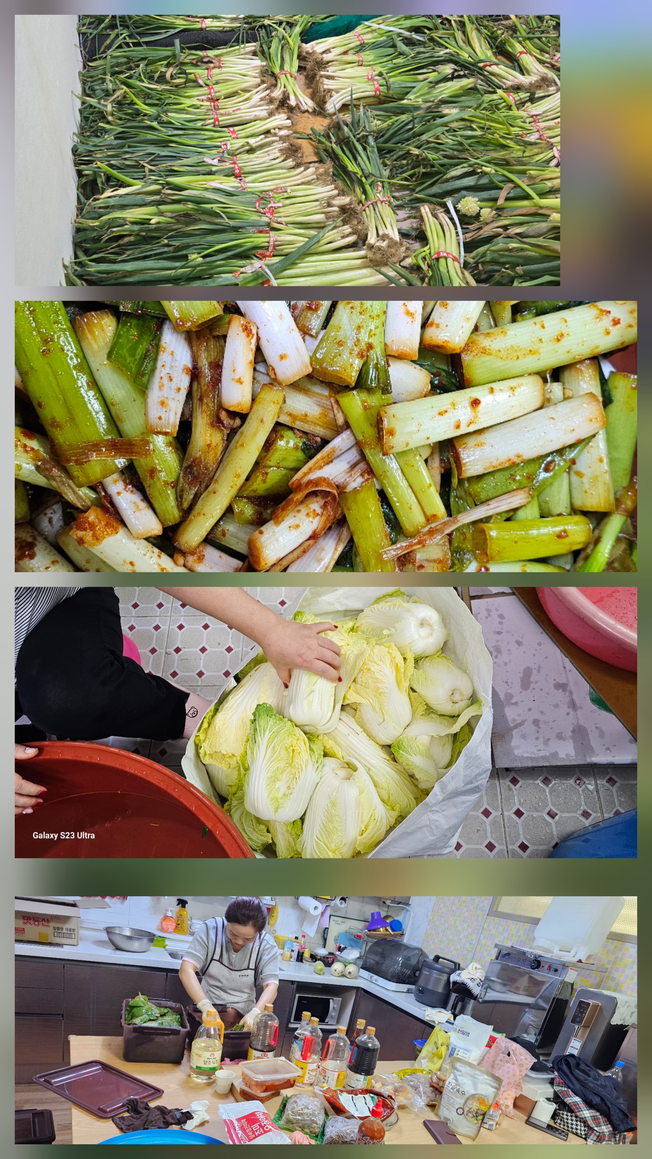 2025년 9월 겨울음식을 절이고 있습니다.jpg